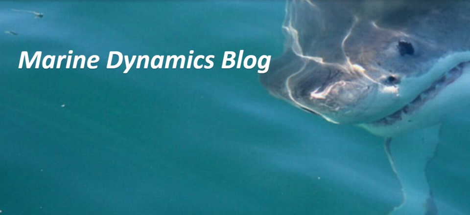 Blog