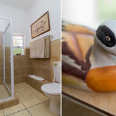 Hermanus - Dovecote Cottage - Bathroom