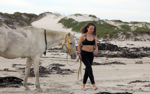Gansbaai & Pearly Beach Horse Trails