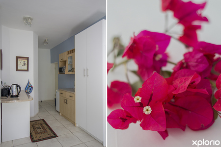 hermanus_accommodation_norfolk_guesthouse_blue_crane_kitchen_1559022526