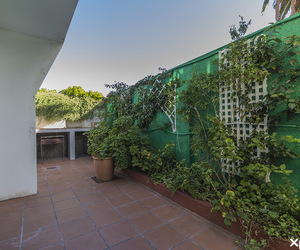 Our Pet Friendly Policy