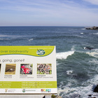 Hermanus Biodiversity Hermanus Biodiversity