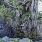 Hermanus Nature Hermanus Nature