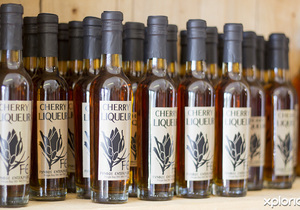 Beeswax & Raw Honey Products