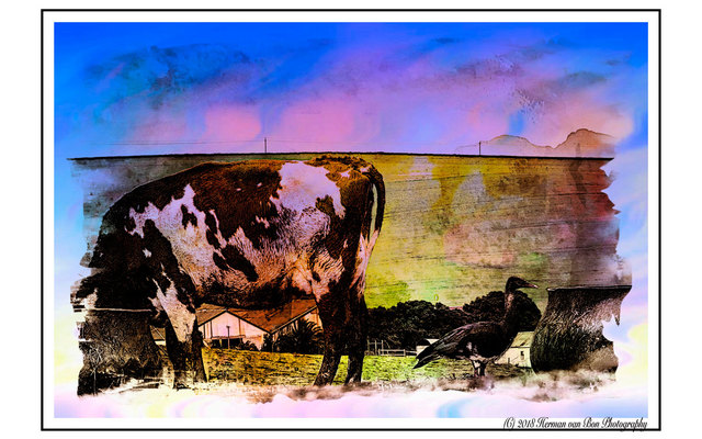 8sept18photographic8_PSYCO_DELICious_1542797110_1559760571