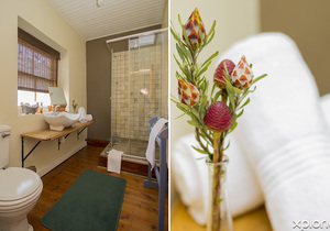 Accommodation Amenities