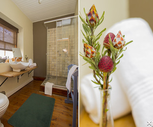 Accommodation Amenities