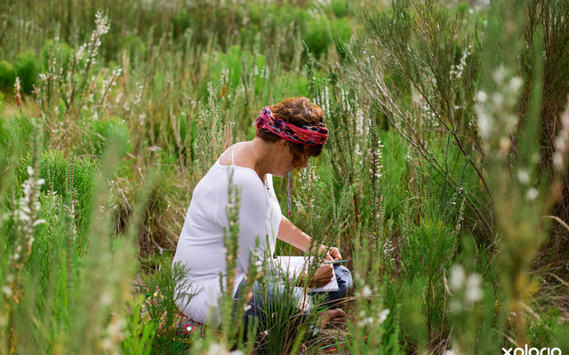 cure_for_fynbos_blindness_drawing_and_taking_notes_while_sitting_in_fynbos_1527501617_1559803339 cure_for_fynbos_blindness_drawing_and_taking_notes_while_sitting_in_fynbos_1527501617_1559803339