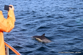 Welcome to Whale Season 2019....