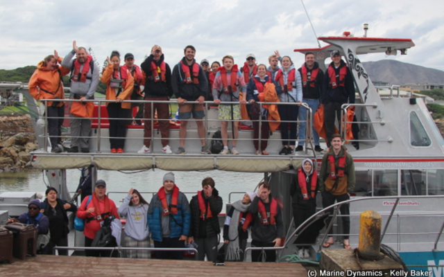 marine_dynamics_shark_tours_4_1559911822 marine_dynamics_shark_tours_4_1559911822