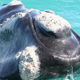 Biggest smile on the planet!