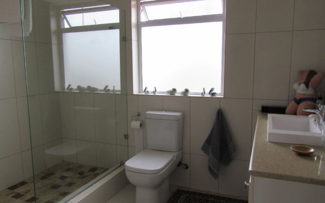 seeff_napier_3_bedroom_house_bathroom_1560439669