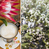 Napier - JD Bistro and Wines - Cappuccino