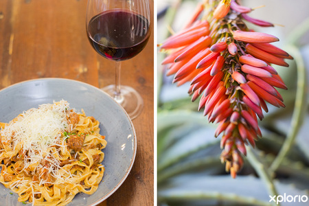 napier_restaurants_jd_bistro_and_wines_fine_dining_with_wine_1560855055