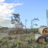 The Giant Periwinkle - View of Farm