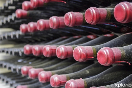 gansbaai_wine_estate_the_giant_periwinkle_cellers_1561644831