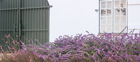 gansbaai_wine_estate_the_giant_periwinkle_outside_view_of_tating_room_1561645199