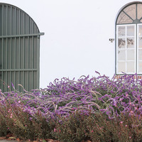 The Giant Periwinkle - Tasting Venue