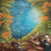 Gansbaai - Petro Shingalana - Mystery Forest