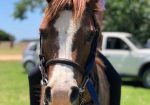 Children’s Parties