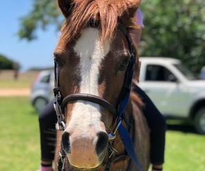 Children’s Parties