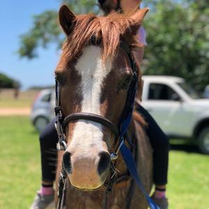 Bredasdorp - Pony Pals - Children’s Parties