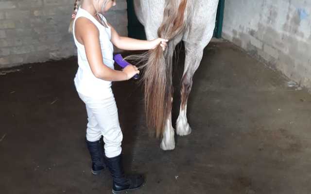 Bredasdorp - Pony Pals - Children’s Parties