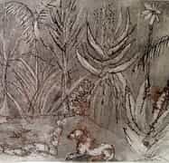 Sara Abott's Drawings Inspired by her Garden