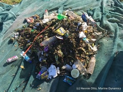 Shark-Cage Diving Town Gansbaai Pioneering New Plastic Pollution Fix