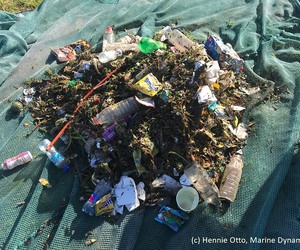 Shark-Cage Diving Town Gansbaai Pioneering New Plastic Pollution Fix