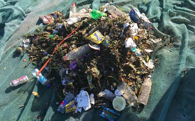 dyer_island_conservation_trust_plastic_polution_1562921333