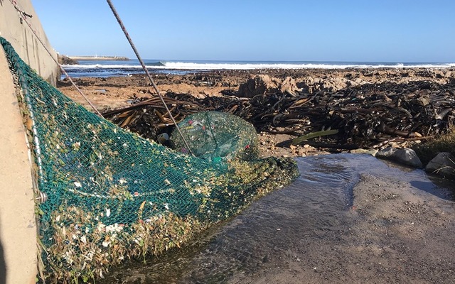 dyer_island_conservation_trust_plastic_polution_2_1562922864