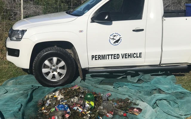 dyer_island_conservation_trust_plastic_polution_3_1562922865