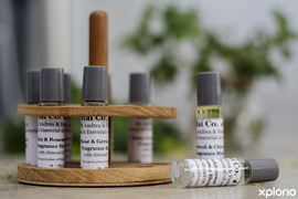 Roller Blends For Kids