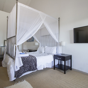 bettys_bay_accommodation_fijnbos_lodge_and_spa_room_2_1544430034_1563806999