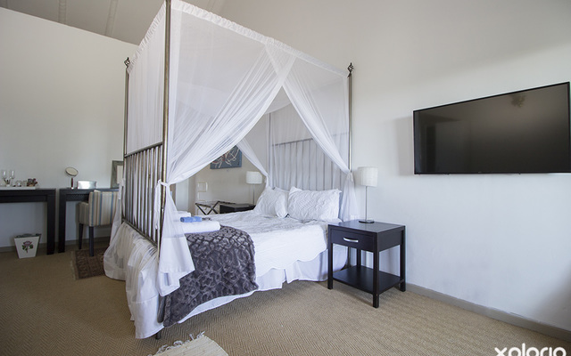 bettys_bay_accommodation_fijnbos_lodge_and_spa_room_2_1544430034_1563806999