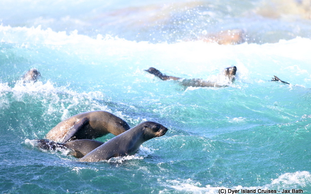 7DM24061_1563870417 7DM24061_1563870417