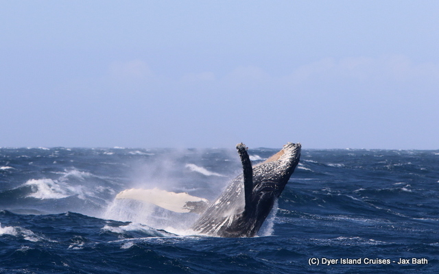 7DM24206_1563870414 7DM24206_1563870414