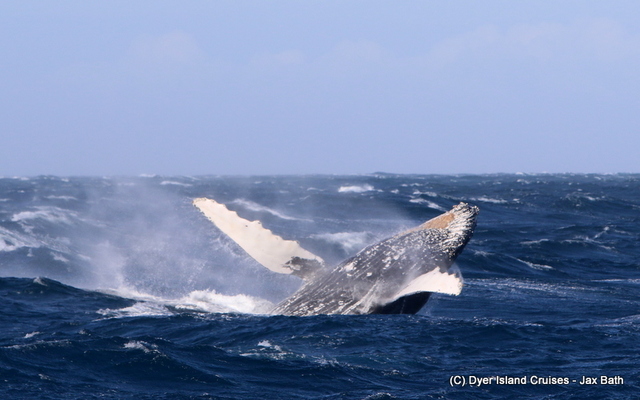 7DM24209_1563870414 7DM24209_1563870414