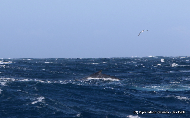 7DM24224_1563870415 7DM24224_1563870415