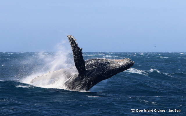 7DM24260_1563870416 7DM24260_1563870416