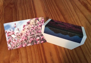 Cut Down on Plastic Pollution - Small Plastic Bags