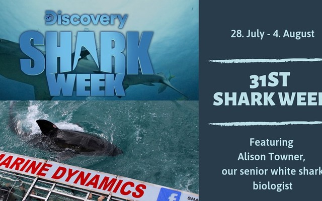 67065072_2293548944064774_3175043419537932288_n_1564049887 67065072_2293548944064774_3175043419537932288_n_1564049887