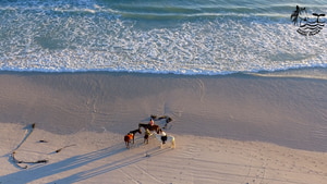 June - July 2019 Horse Riding Trips