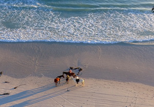 June - July 2019 Horse Riding Trips