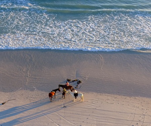 June - July 2019 Horse Riding Trips