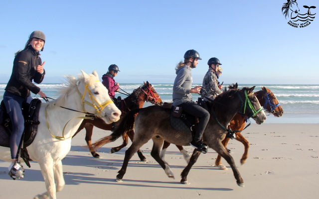 Gansbaai & Pearly Beach Horse Trails