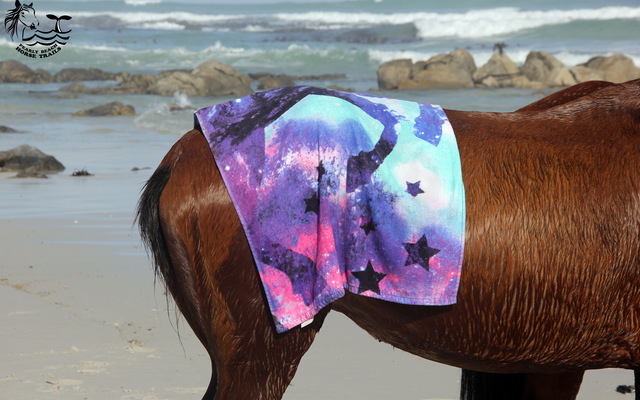 Gansbaai & Pearly Beach Horse Trails