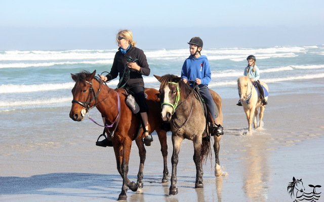 Gansbaai & Pearly Beach Horse Trails