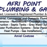 Business Description